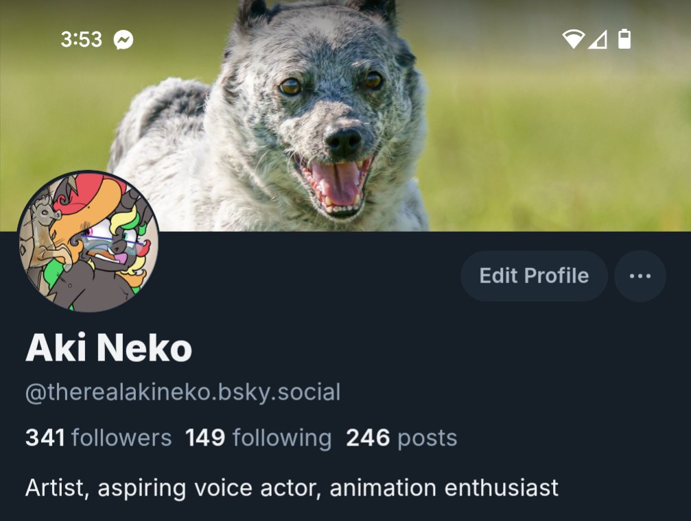 Reminder I'm more active now on the 🦋app!