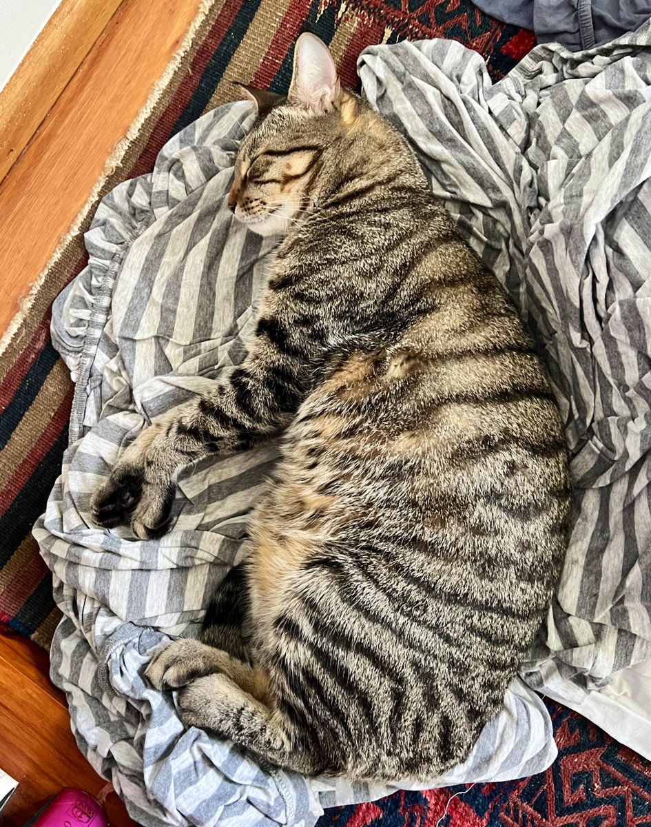 Dave Krantz tweet media