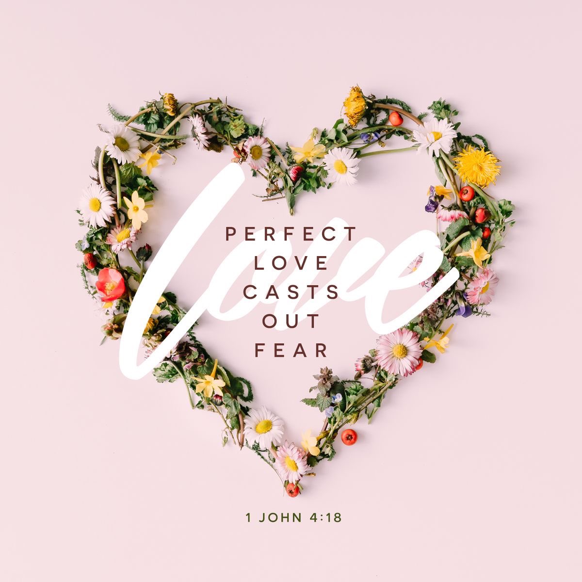 Mount Olive Baptist (@mountolivebcsd) on Twitter photo 