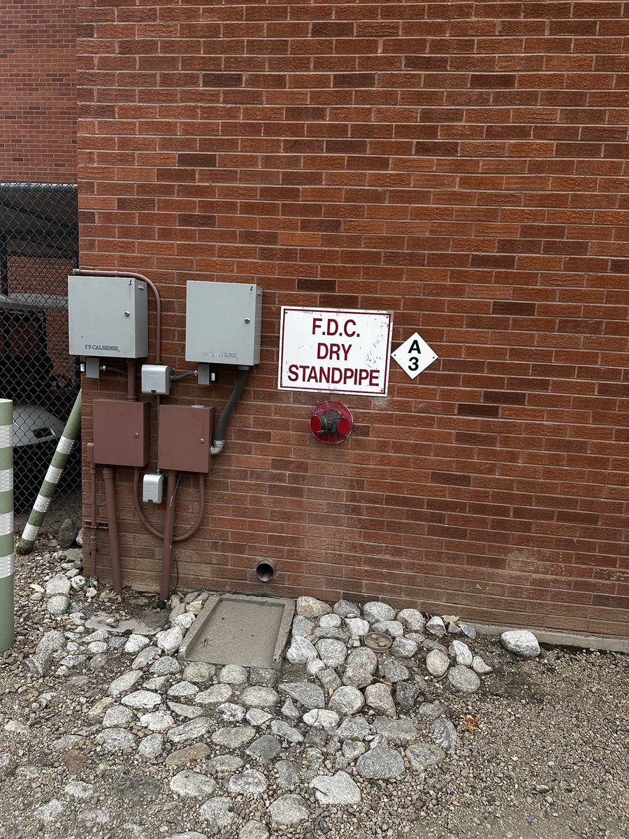 literallyhypo's tweet image. fontaines dc