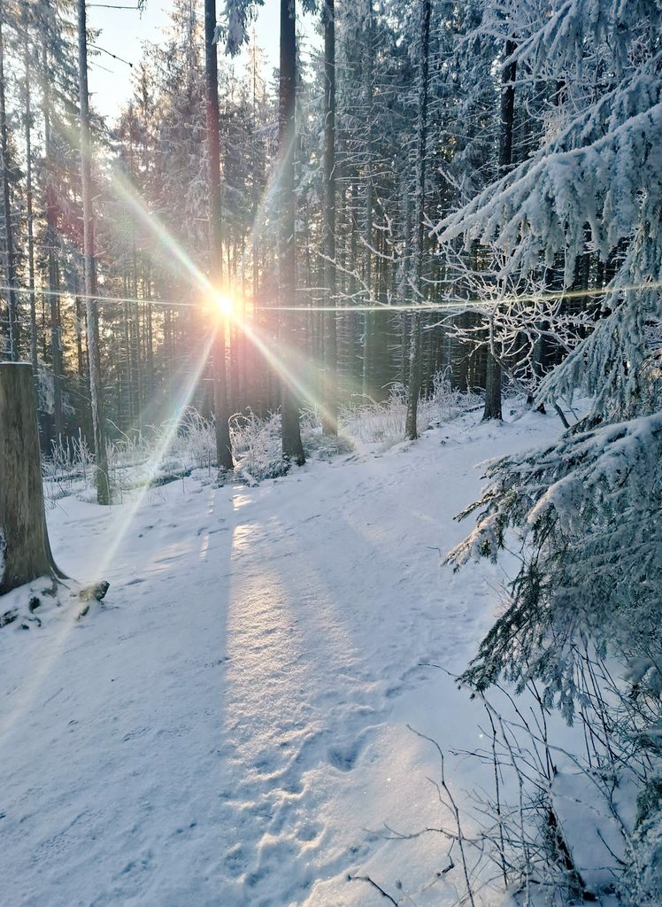 Good morning ☀️ ❄️