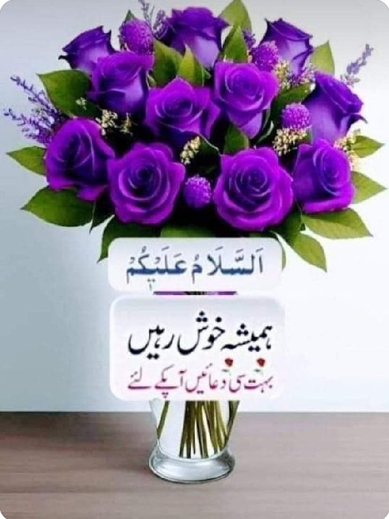السلام علیکم ورحمت اللہ وبرکاتہ 
تمام مسلمانوں کو دعا وسلام
#صباح_الخير