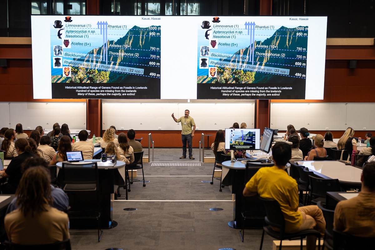 🍃Thanks for joining us at #VicBioCon25 to celebrate all things Victorian biodiversity!🌱Click the link to complete our feedback survey- it only takes a few minutes and helps us to improve future conferences!🍃🪲 
docs.google.com/forms/d/e/1FAI…
📷 Adam Purcell | Melbourne Ceili Camera
