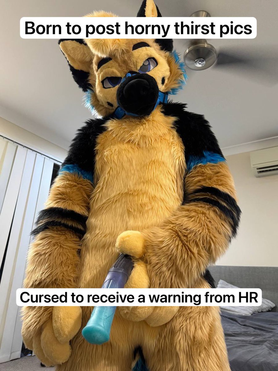 ranger_shep's tweet photo. https://t.co/fURHUuqxQP