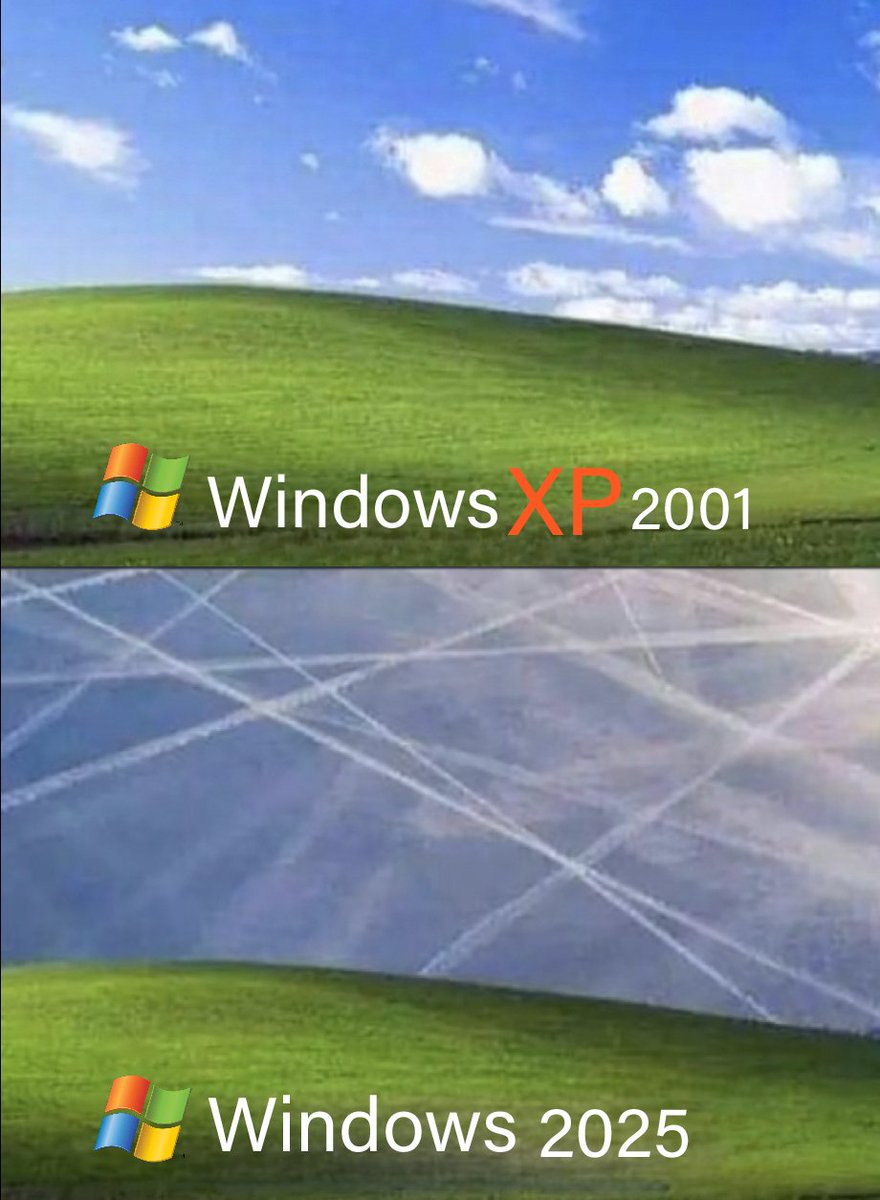 Redpill Drifter (@redpilldrifter) on Twitter photo 