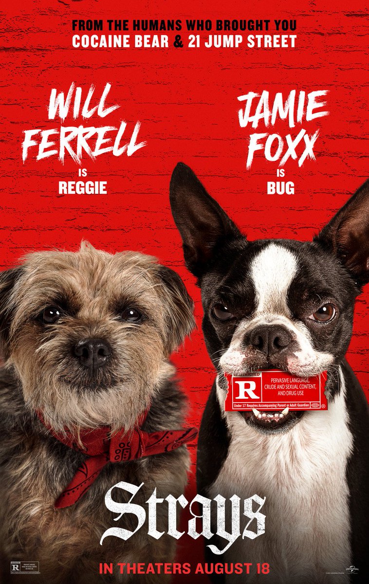 CinemaRareIN's tweet photo. An abandoned pup falls in with a ragtag crew of foul-mouthed dogs hellbent on getting him home to deliver payback to his deadbeat owner.

#Strays (2023) by #JoshGreenbaum, now streaming on @NetflixIndia. https://t.co/HeKbNT5ezK