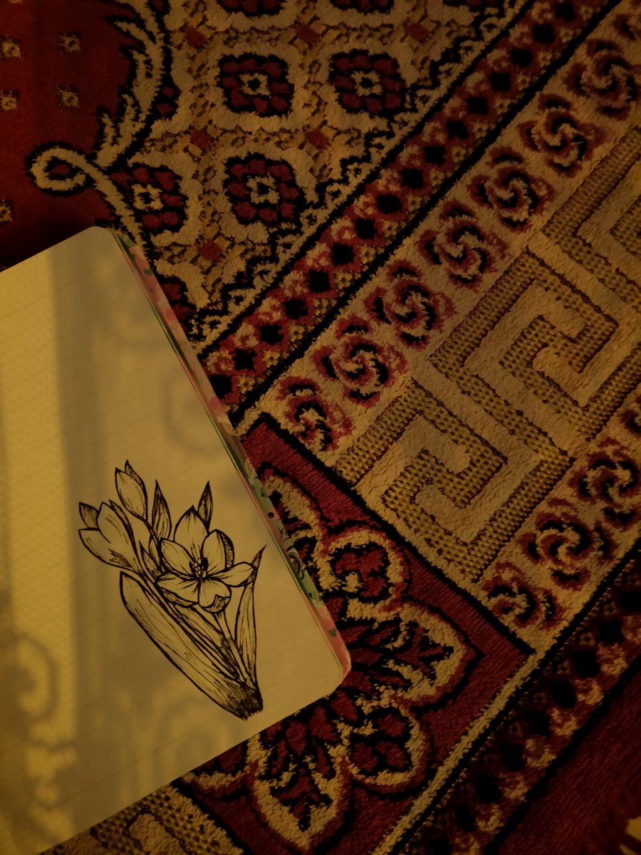 قرآن الصبح
الشمس
كباية الشاي
ممارسه الهوايات
✨