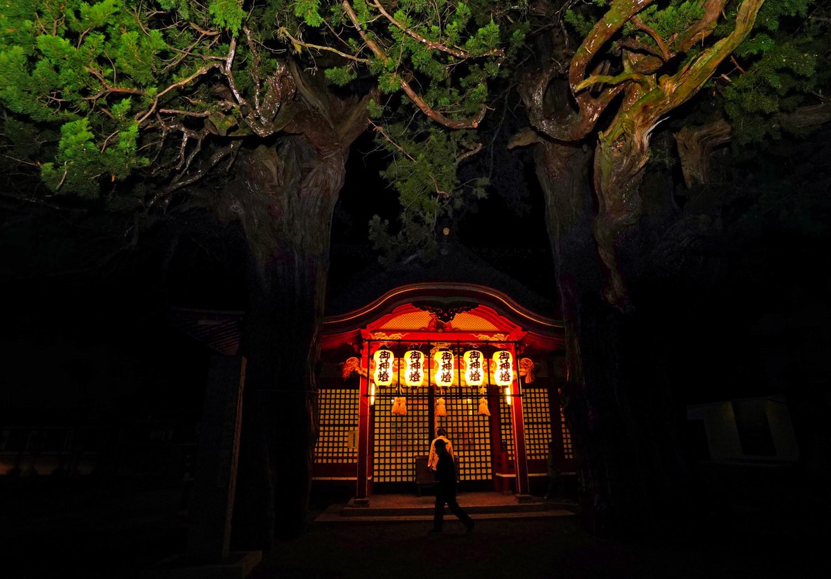 第３０回えひめ森林林業写真コンクール
【入選賞】
『御神木』
白石　信夫　様
#愛媛の森林基金
#写真コンクール