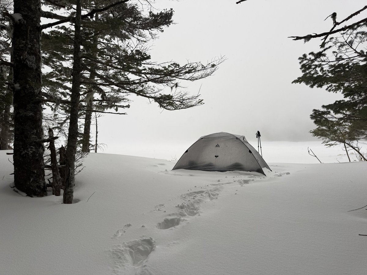 LOCUS GEAR tweet media