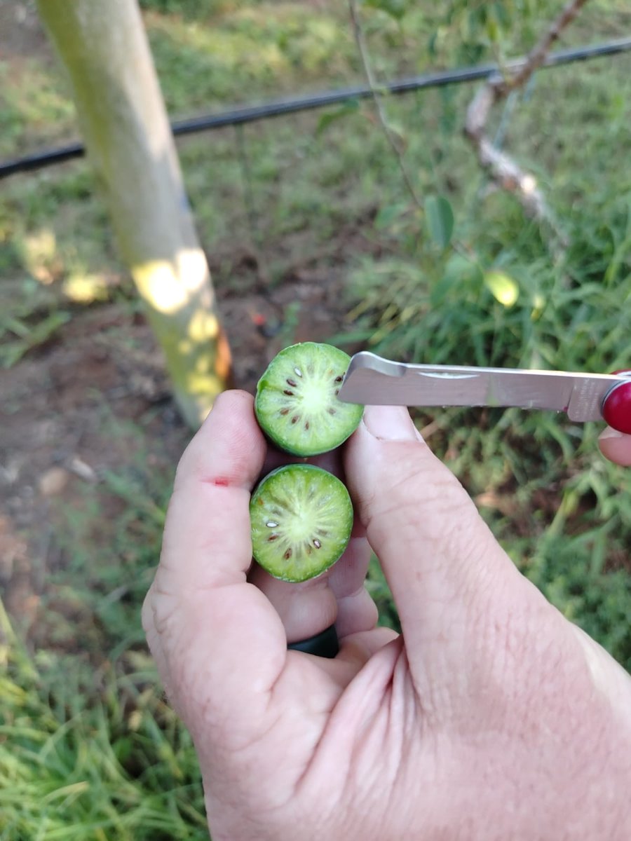 Nationwide Produce PLC tweet media