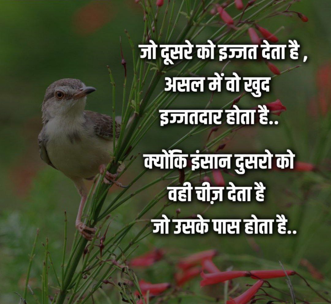 संगम 🍂 tweet media