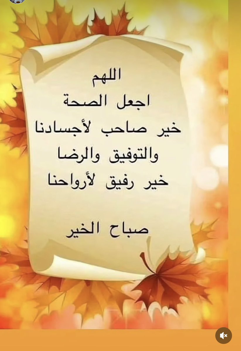 falah1390's tweet image. #صباح_الثلاثاء