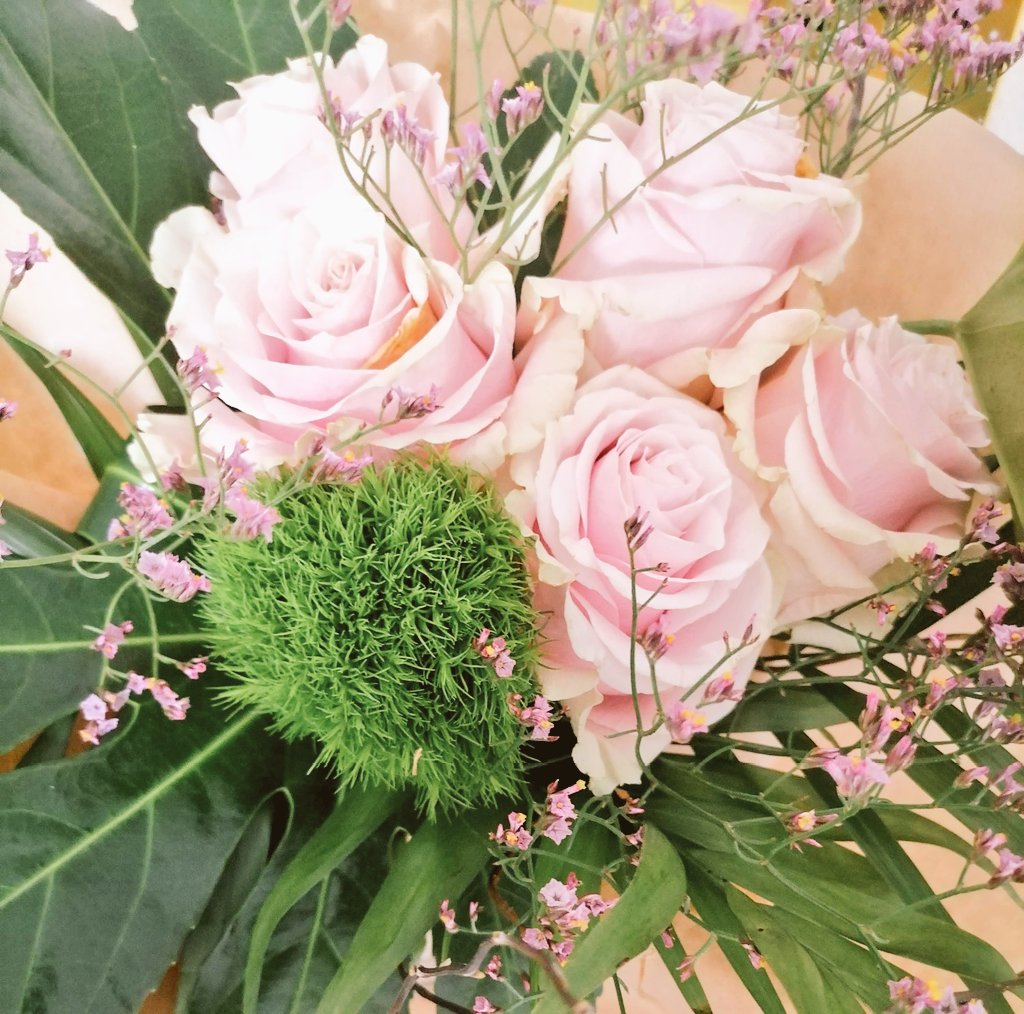 Sandrin3105's tweet image. Challenge photo a day 2025 -  18 février 
R comme...des  roses
#fmspad