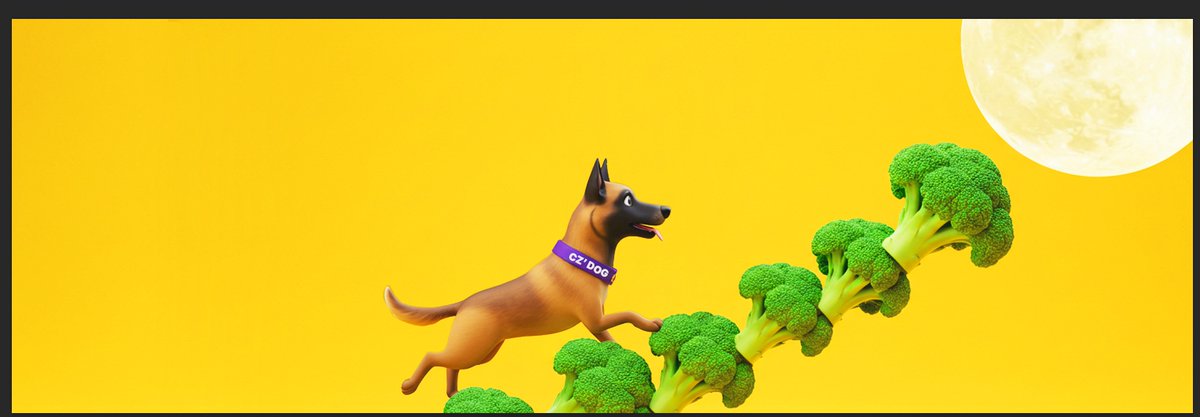 FeedBroccoli's tweet photo. 🐕One dog, one community - Let’s #FeedBroccoli and warm the world! 🥦🧡

#BNBChain #BNB $FEED https://t.co/p0BM1pe37a