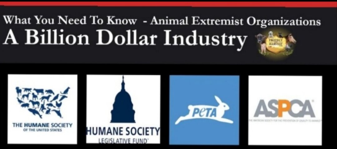 mz55qrf's tweet image. ASPCA is not an "animal welfare" organization. They're "Animal Rights" extremists. Entirely different. Marxist, rad animal lib, swamp crawling money$uck activist scammers. No friends to the USA's #1 hog & #1 egg state.
Nebulous "mill" epithet used same as "factory".
Good 4 USDA!