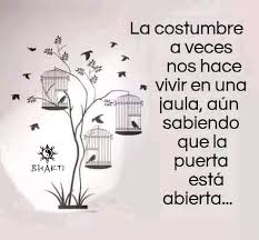 Annie Muñoz Aroca (@acmunozaroca) on Twitter photo 