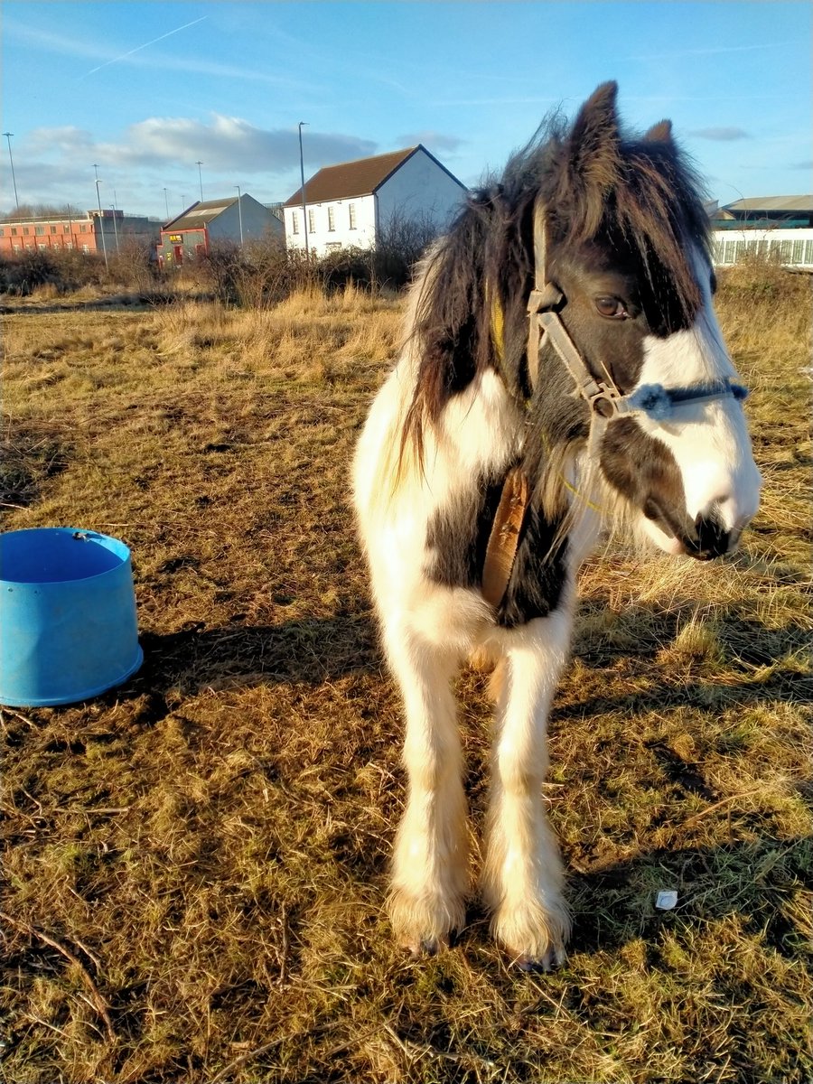 "Great Album Cover" for a 1970's #LedZeppelin L.P. or is it just me dreaming. <a href="/soult/">Graham Soult FIPM</a> <a href="/David_Cliff/">Dr David Cliff</a> <a href="/leighsus/">Leigh Jones</a> @nigel_guisboro <a href="/7minforyourself/">7 Minutes For Yourself</a> <a href="/THCoulbyNewham/">Teesside Hospice Coulby Newham Shop</a> @Tees_Issues <a href="/chrismcewan11/">Chris McEwan</a> <a href="/oakroadmf/">Oak Road Motor Factors 🚘</a> <a href="/SinghLions/">Harjinder Singh Kukreja</a> <a href="/ledzeppelin/">Led Zeppelin</a> <a href="/muddypaw_co/">Muddy Paw Co 🐾🐾</a> <a href="/CarlCashman/">Carl Cashman</a> <a href="/Co_op_Tim/">Tim Myer</a> <a href="/darrengrimes_/">Darren Grimes</a>