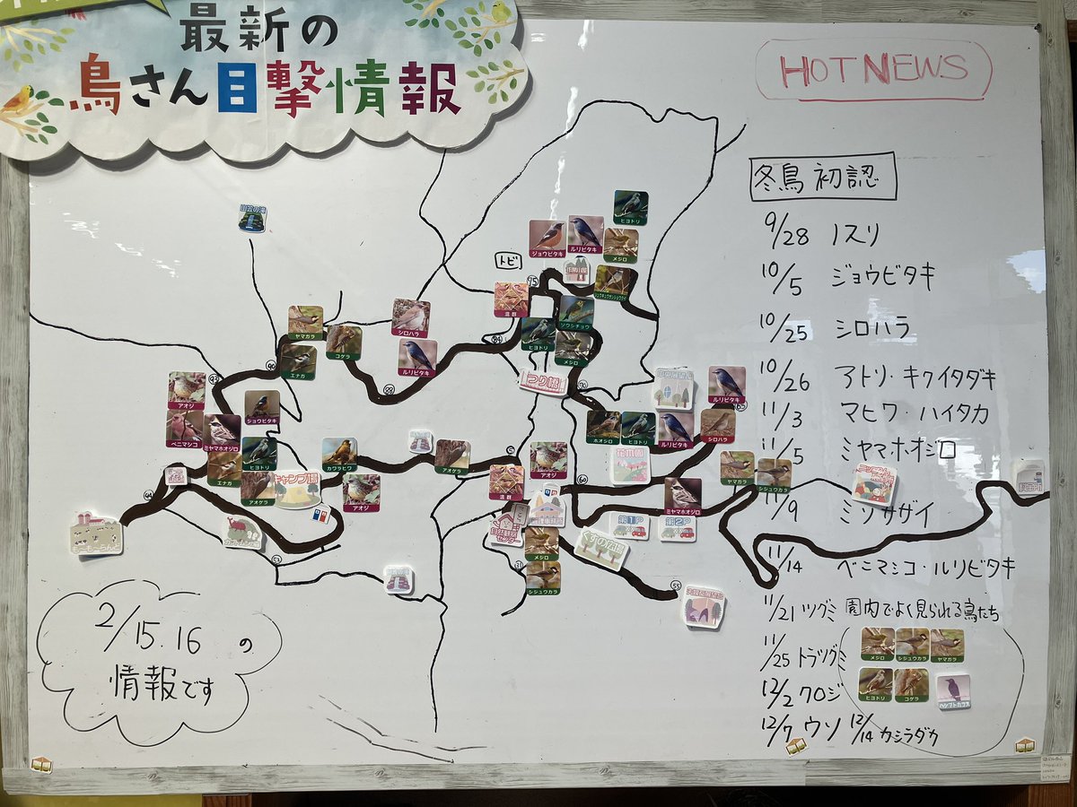 🐤野鳥情報更新しました🐤

今週、天気予報では晴れや曇りがが続くようですね！いろいろな鳥さんが観察できますように😊
＃油山
＃野鳥