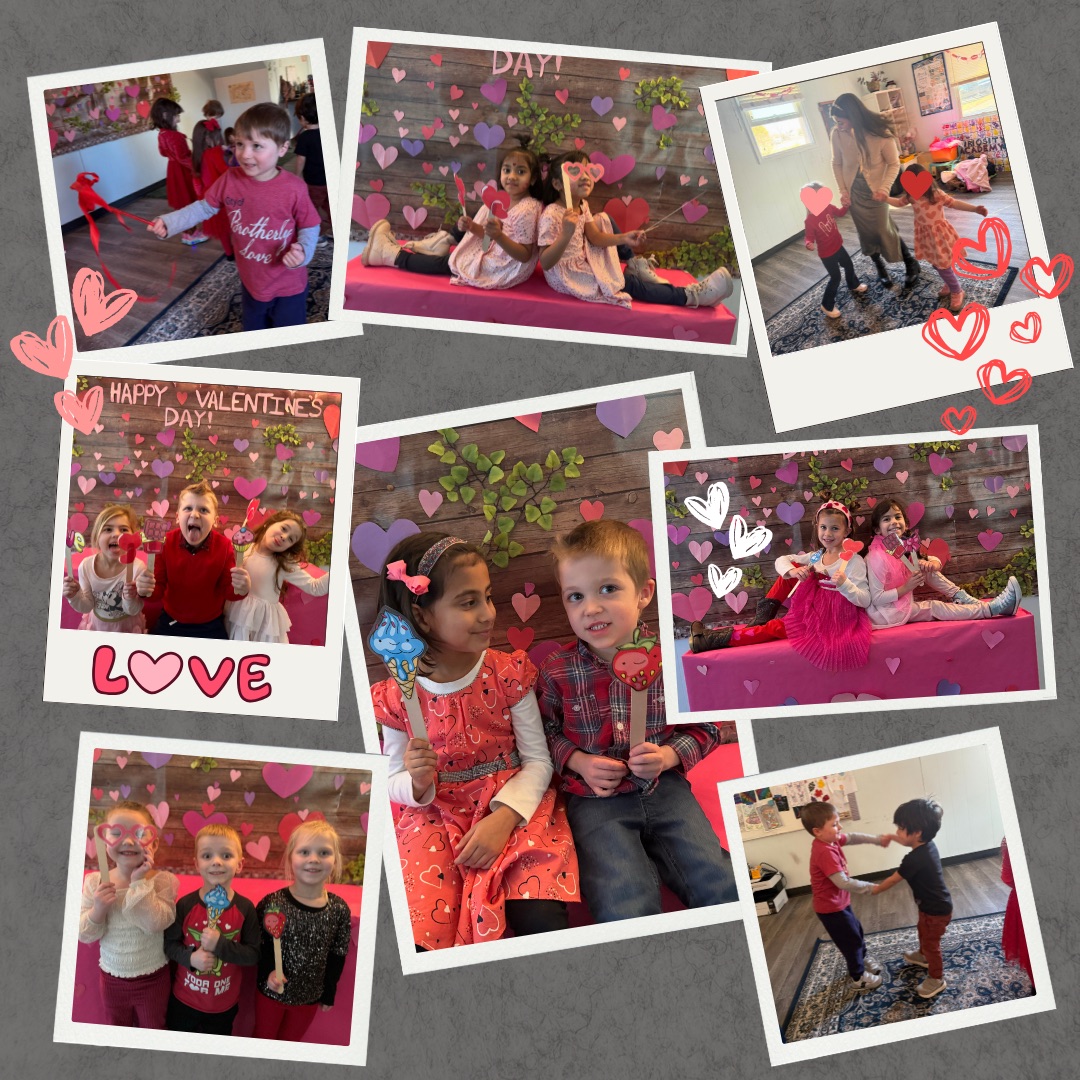 Camp Curiosity & Curiosity Academy tweet media