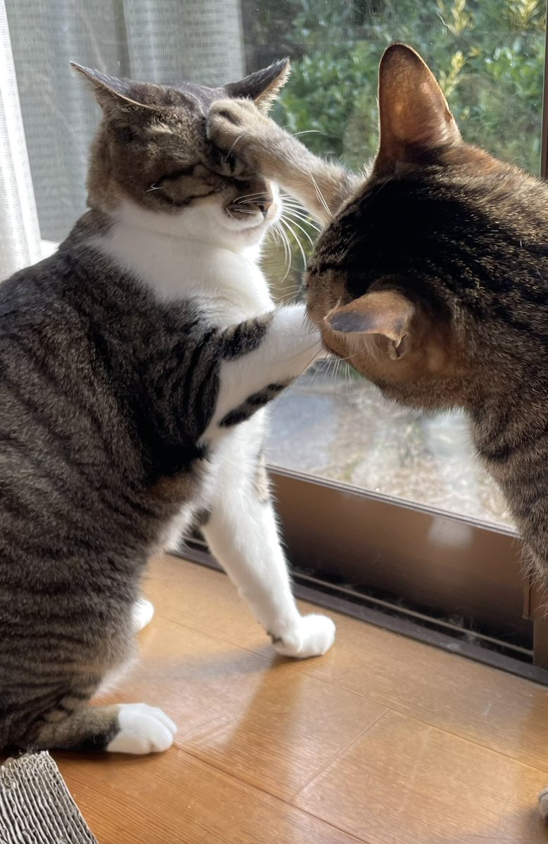 クリティカルヒット