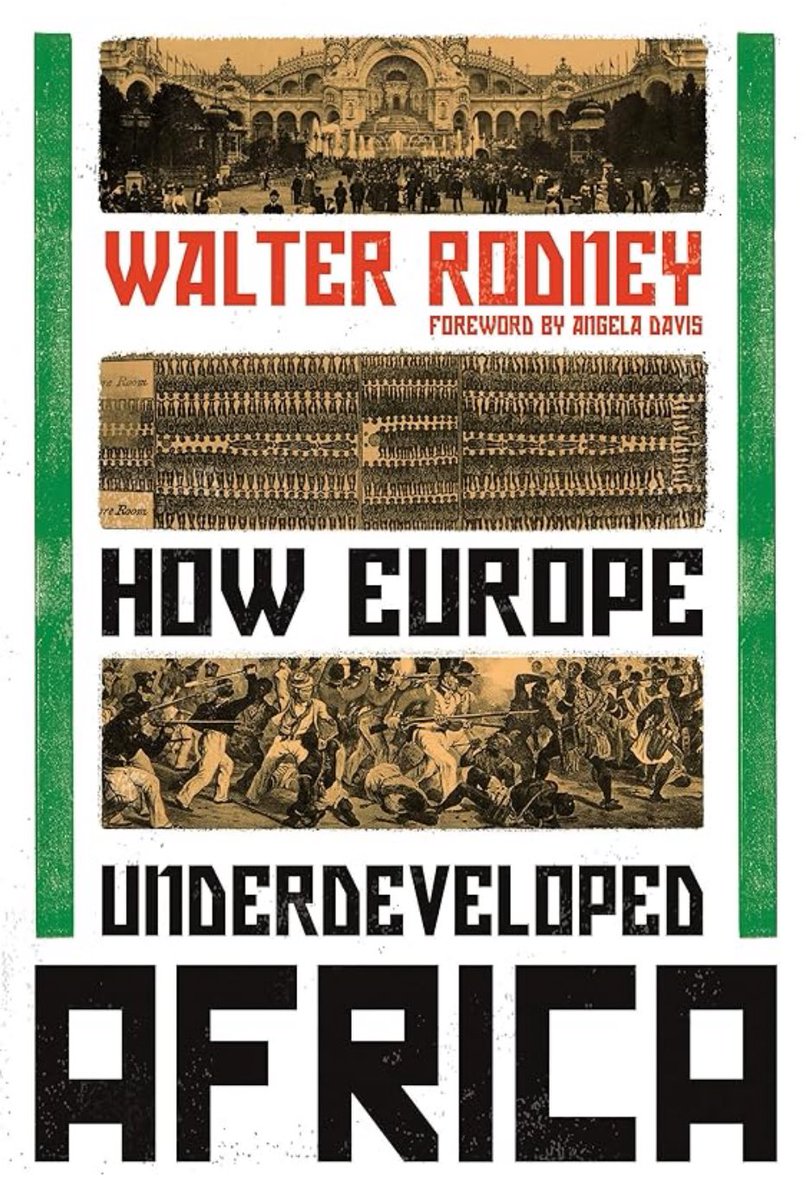 ayo_platano's tweet image. Read HONKY! READ!