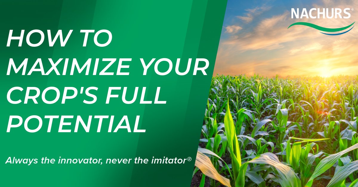 Unlock the full potential of your crops with the NACHURS Start2Finish program! Our comprehensive liquid fertilizer system, powered by Bio-K®, ensures your crops receive the nutrients they need from start to finish.🌱 

➡️To learn more, visit nachurs.com/start2finish