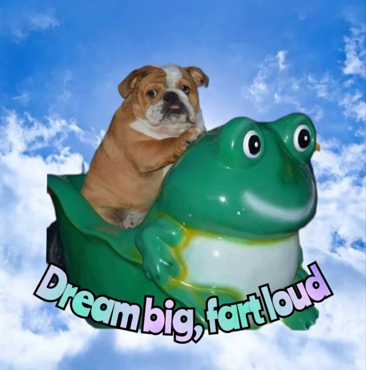 @DCTrojan tweet media