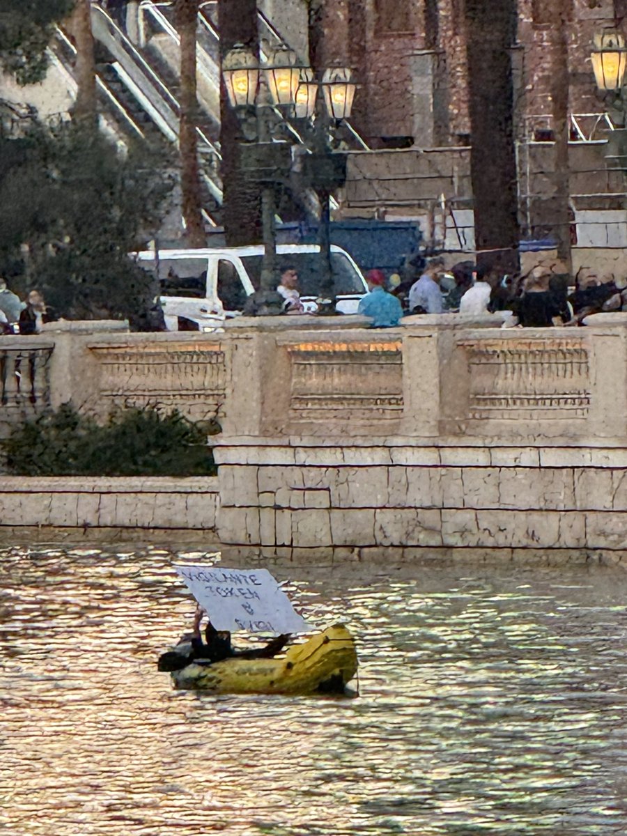 Vigilantetoken's tweet image. This was just the warm-up to keep the apes engaged—the real event is coming soon! Once the media post their stories, we’re skyrocketing to insane heights!
#Vigilante