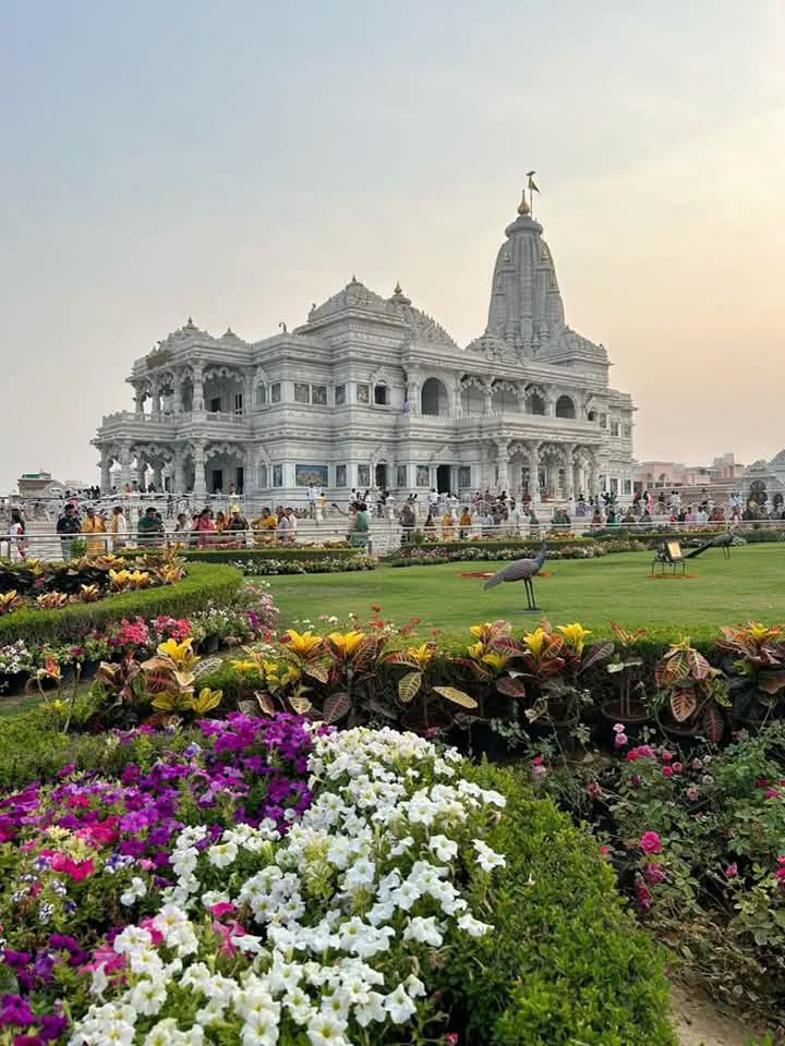 याद नहीं क्या क्या देखा था, सारे मंजर भूल गए ।

उनकी गलियों से जब लौटे, अपना ही घर भूल गए 

🦚 मेरे कान्हा 🦚