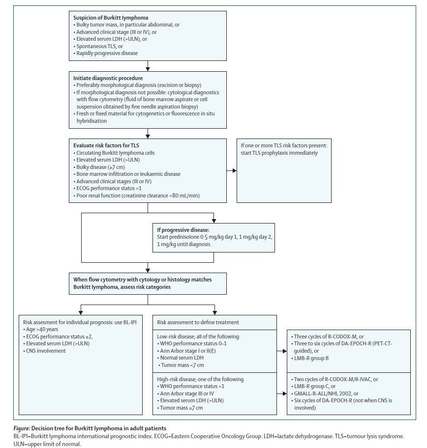 Diagnosis and treatment of Burkitt lymphoma in adults: clinical practice guidelines from ERN-EuroBloodNet
thelancet.com/journals/lanha…