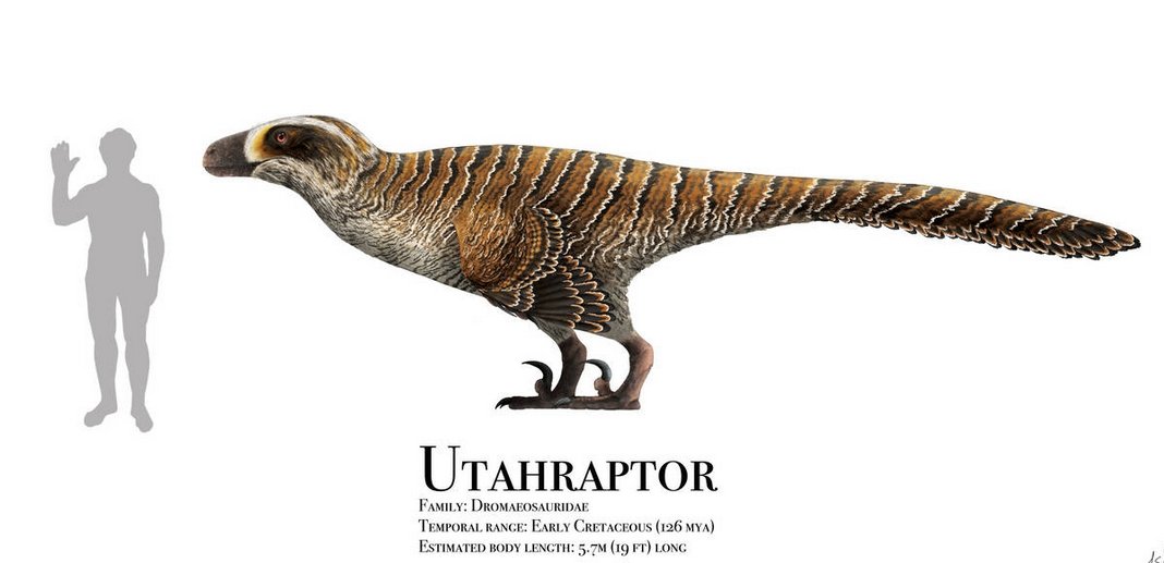 Hear me out <a href="/Nba/">NBA</a>. Three way team logo trade. Utah Raptors, New Orleans Jazz and Toronto Hornets.