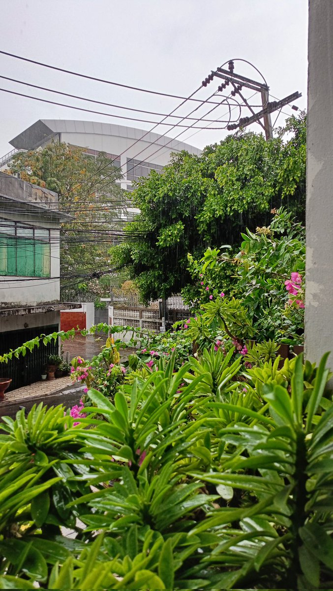 derickwai10's tweet image. It's here! 🌧️ The first rain of the year! #FirstRain #Rain #CityRain #bangkok