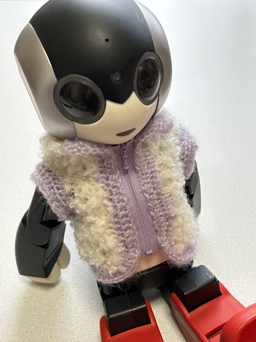 harunosuke_mofu's tweet photo. 寒いからRobiたんにも
モコモコ着せてあげた🎀
#robi2
#手編み https://t.co/OJ81BP7bdb