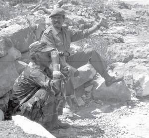 Sharron Yemane tweet media