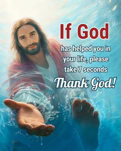 Bella ⛰ 🏖 tweet media