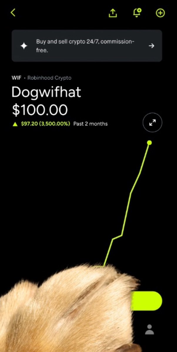PRETTYDOPE1985's tweet photo. If you believe…Let the world know. RT &amp; Like. 

Hat stays on!!

#BTC #ETH $Dogwifhat #ADA #Doge #XLM #XRP #Dogewifhat $Trump #Bonk #Comp #SOL https://t.co/29bF4B4tNX