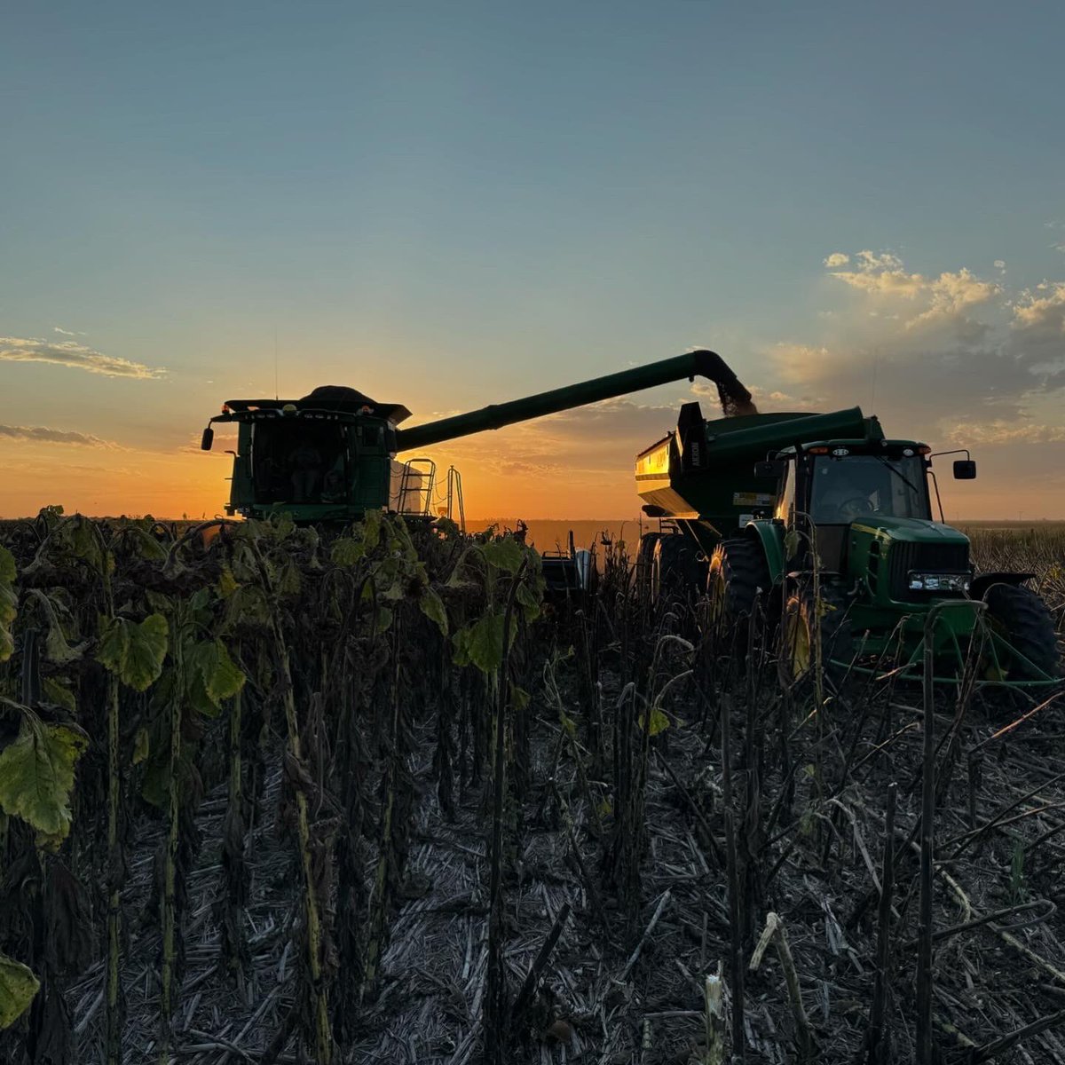 Yendo los terneros para Anta, Salta!! 🤣💪🏻🇦🇷💪🏻 <a href="/DarioColombatto/">Dario Colombatto</a> <a href="/Felipepereyra/">Felipe Pereyra</a> <a href="/vetingsrl/">Roman Alejandro Tijera</a>