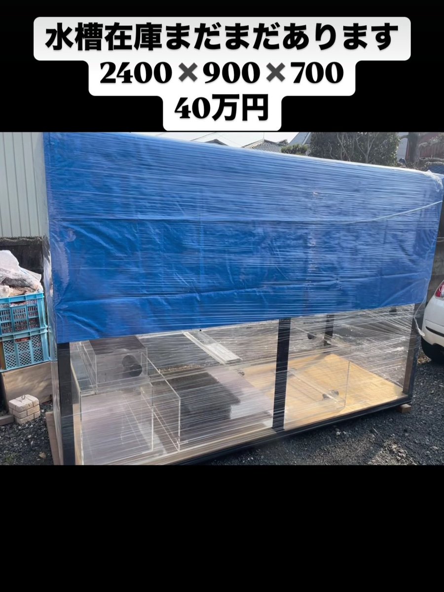 nishiken_aquas's tweet photo. 山口店長Instagramより‼️
水槽在庫まだまだあります👌なんと！2400×900×700の水槽が￥400000円での販売😳😳
この水槽サイズ。今新品で作ろうと思うとかなりお高いです、、、😅
大型水槽の導入お考えのお客様はぜひお問い合わせください✨
DMまたはLINEからのお問い合わせ大丈夫です‼️
本日と明日水曜日が名古屋店定休日になりますので電話対応は不可となります🙇‍♂️