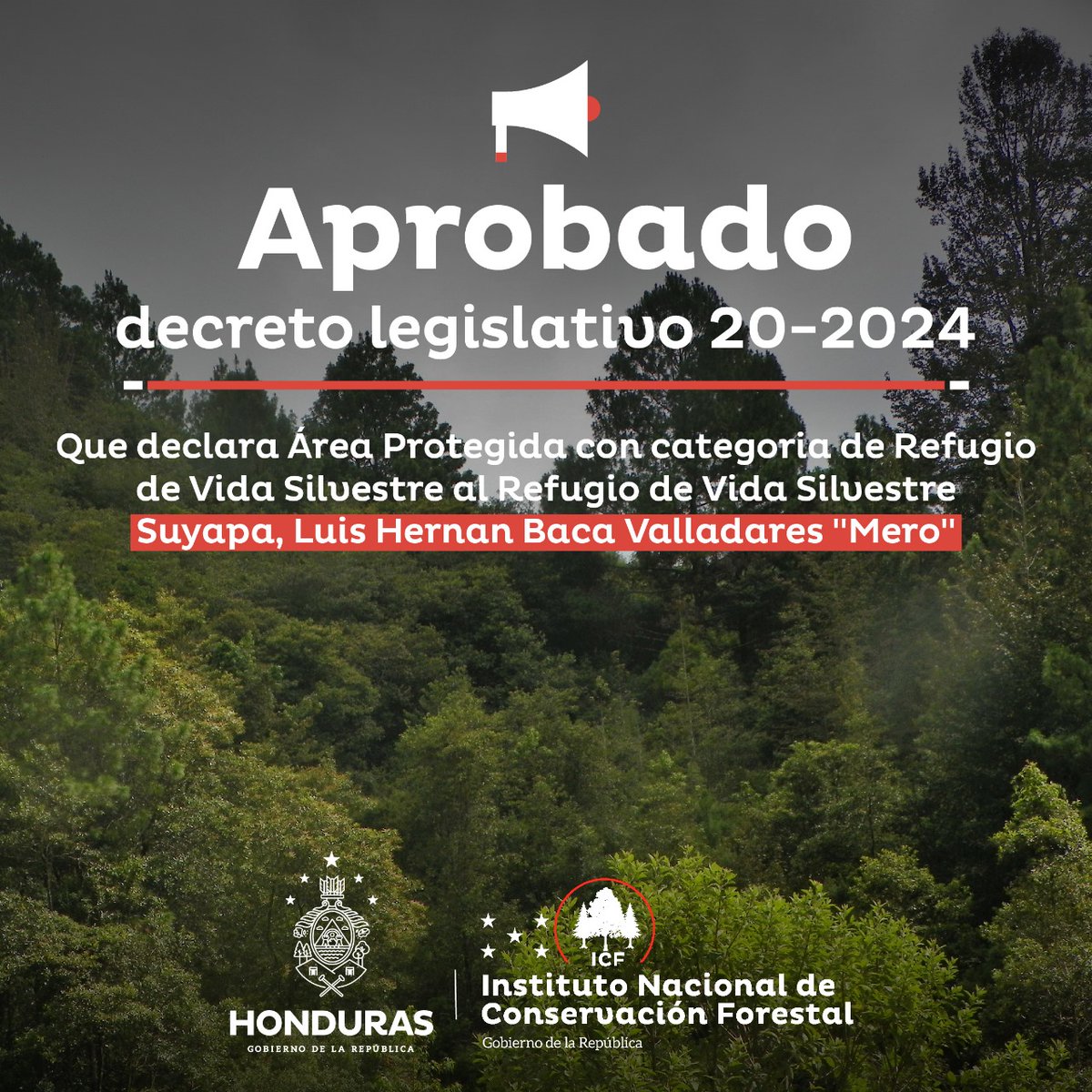 ICFHonduras's tweet photo. ¡37 años de lucha, hoy convertidos en un triunfo del pueblo! 🌿🇭🇳

El @GobiernoHN de la Presidenta @XiomaraCastroZ, a través del #ICF, ha hecho justicia ambiental al convertir en realidad una lucha de décadas. Con la aprobación del Decreto Legislativo 20-2024, se declara oficialmente Área Protegida con categoría de Refugio de Vida Silvestre al Refugio de Vida Silvestre Suyapa, Luis Hernán Baca Valladares "Mero".

🟢 Este es un paso firme hacia un país que protege su riqueza natural, honra a quienes lucharon por su conservación y responde al llamado del pueblo hondureño. Porque gobernar es hacer justicia, y hoy la naturaleza gana junto con el pueblo. 🌎✨

#XiomaraSíCumple