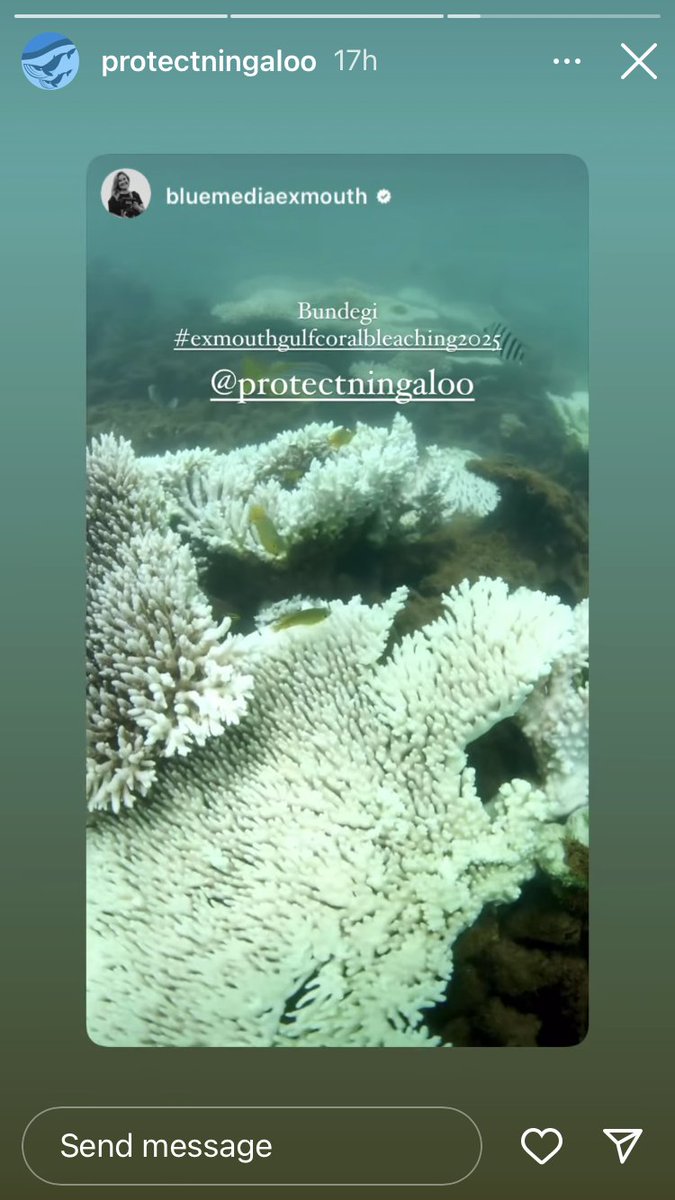 Dr. Kate Quigley (@la__cientifica) on Twitter photo Globally important marine protected areas like World Heritage Ningaloo and Shark Bay are under severe heat stress 🔥 . Corals are bleaching.
🗣️We must cut climate-harming carbon emissions now if we are serious about protecting these wild places. #RealZero
<a href="/protectningaloo/">Protect Ningaloo</a> Globally important marine protected areas like World Heritage Ningaloo and Shark Bay are under severe heat stress 🔥 . Corals are bleaching.
🗣️We must cut climate-harming carbon emissions now if we are serious about protecting these wild places. #RealZero
<a href="/protectningaloo/">Protect Ningaloo</a>