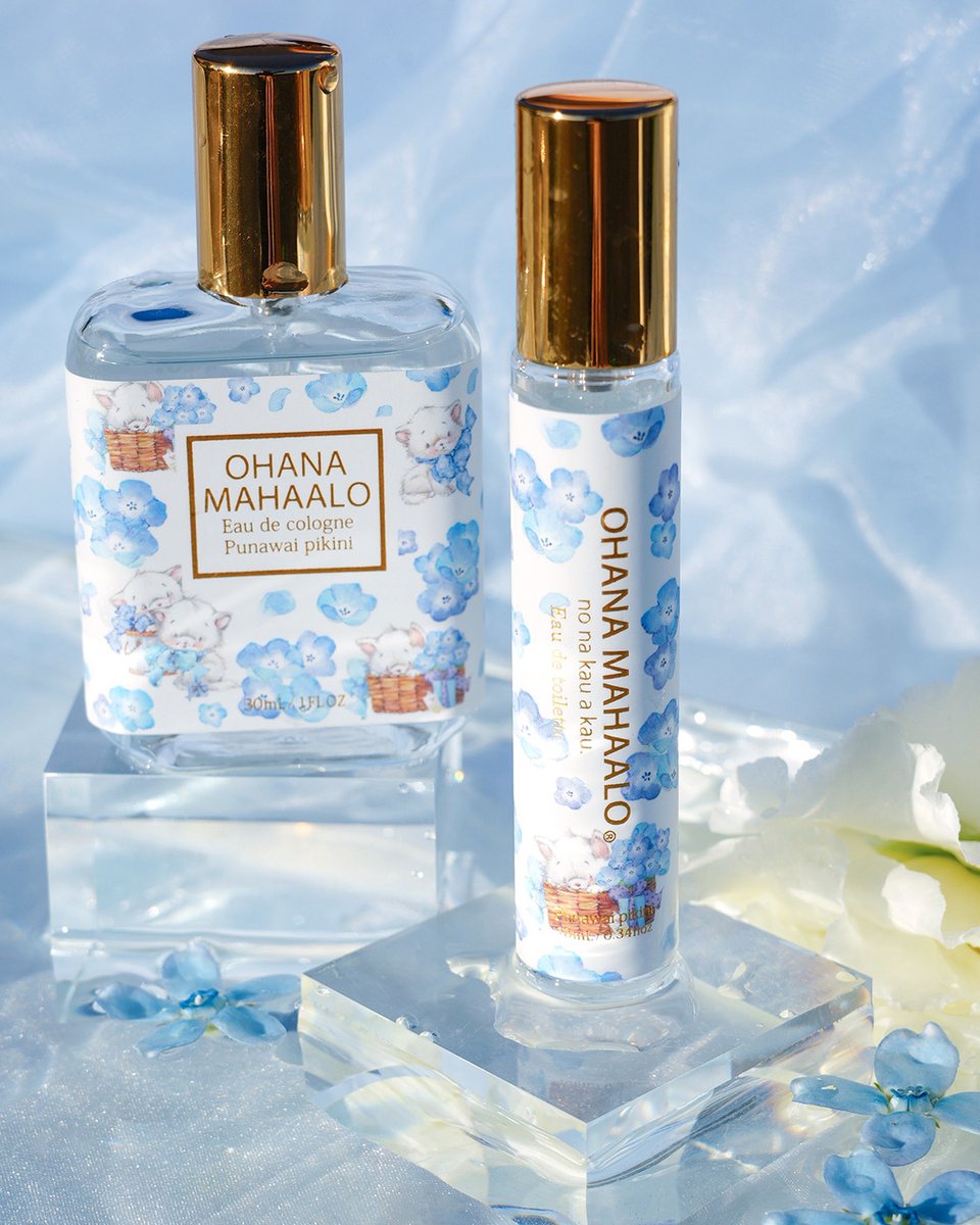 NEW／ みずみずしい ネモフィラの香り🩵 🩵💙🩵💙🩵💙🩵 今一番人気の