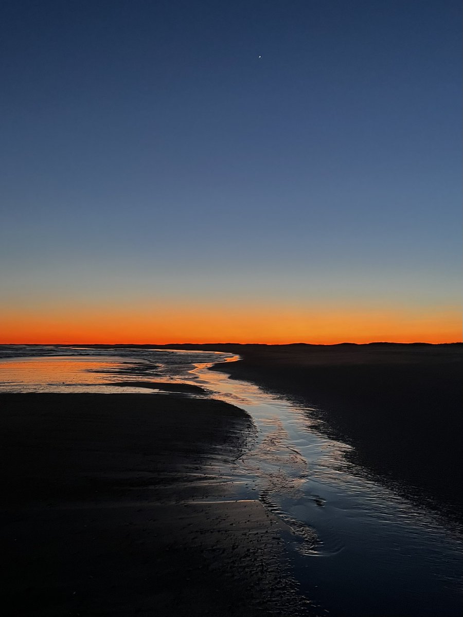 Kara Tabor tweet media