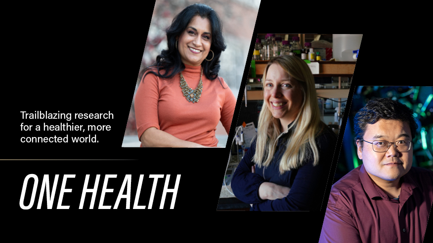 Purdue Institute for Cancer Research tweet media