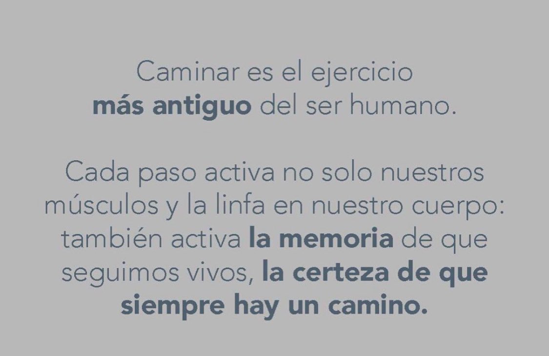 Ivonne LF (@concienciasoy) on Twitter photo 