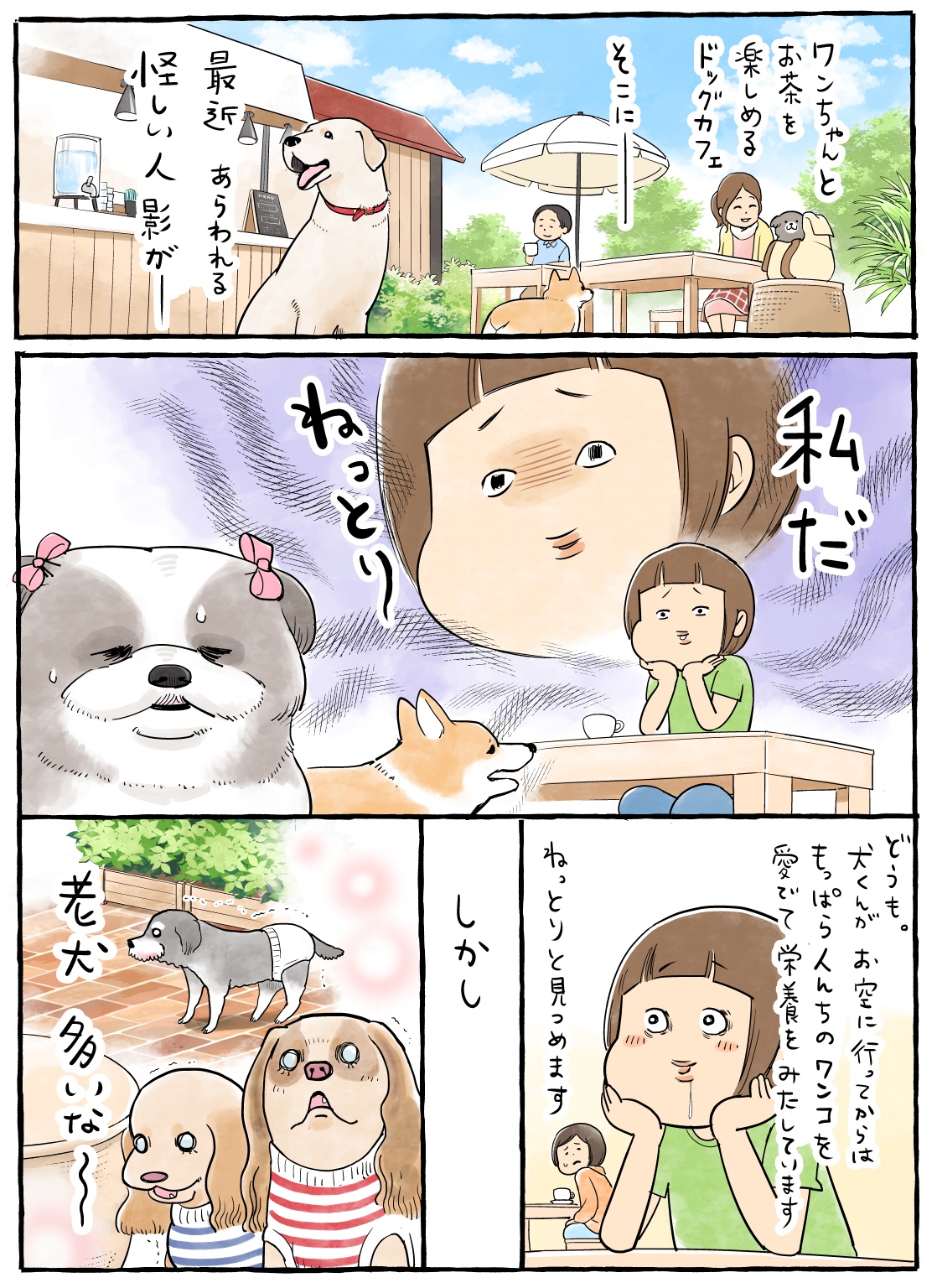 松本ひで吉 (@hidekiccan) / X