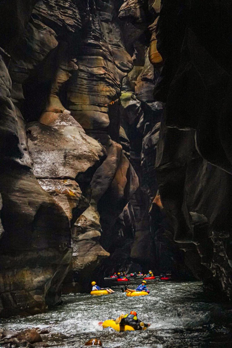 RafaelaCortesZ's tweet photo. Hoy se celebra a nivel internacional una fecha muy poco conocida, pero que tiene sin embargo un significado muy especial para el Departamento del Meta: El Día Mundial de la Resiliencia del Turismo.

Esta conmemoración nos recuerda la enorme capacidad del sector para adaptarse, recuperarse y prosperar frente a las diferentes crisis y desafíos que llegan. Algo de lo cual sabemos mucho en nuestros municipios, que por años fueron azotados por la violencia, pero que hoy figuran entre los más apetecidos y maravillosos destinos de naturaleza del mundo, gracias a su riqueza en fauna, flora, su gente, su gastronomía, y su cultura.