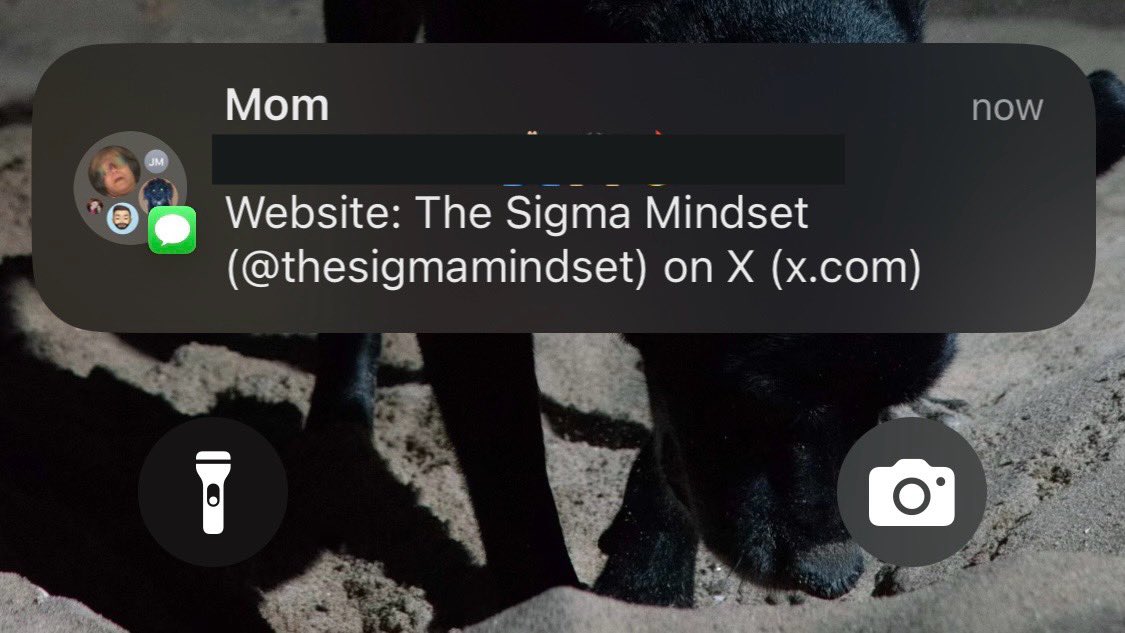 🌞🪬🍊 tweet media