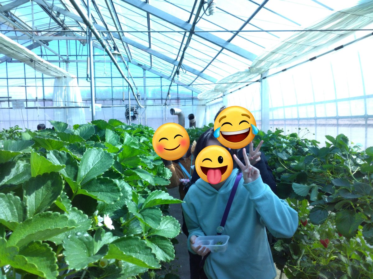 KoKoColor2 tweet picture