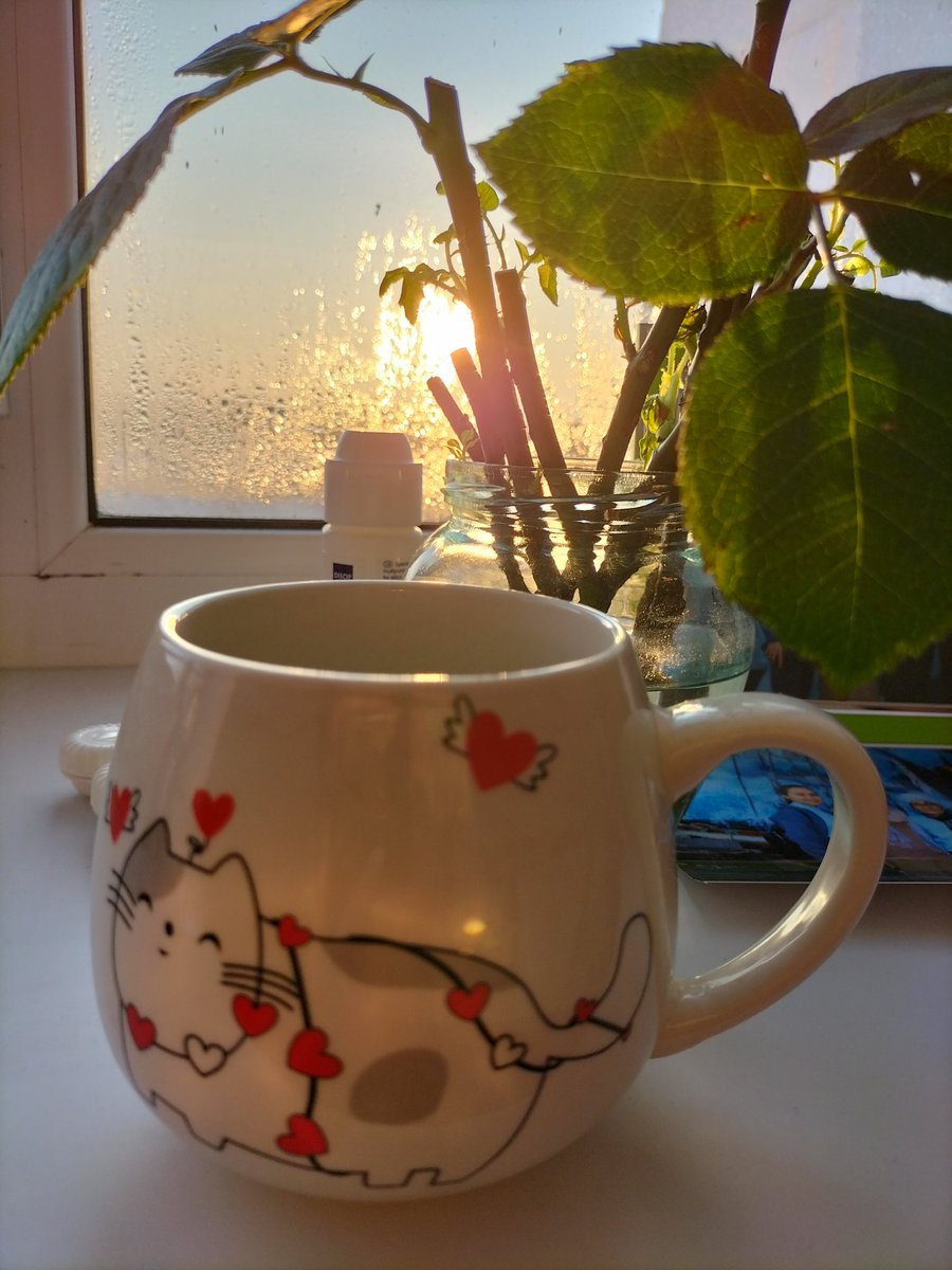 Goooood mooooo)
A glass of lemon water to start the day—a little tradition for health. What’s your morning ritual?)