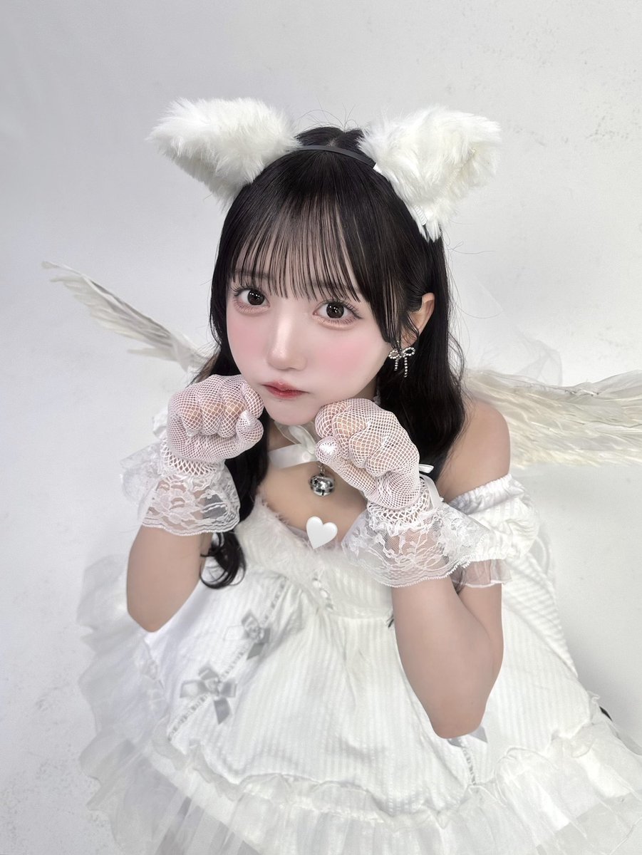 田島櫻子生誕祭2025 まで後1日！ タイムテーブル表を作りました